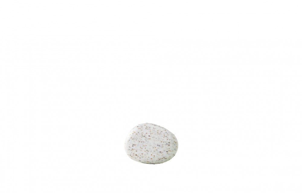 Savon Exfoliant Aux Algues 